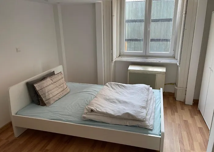 Pensiune Riverside *